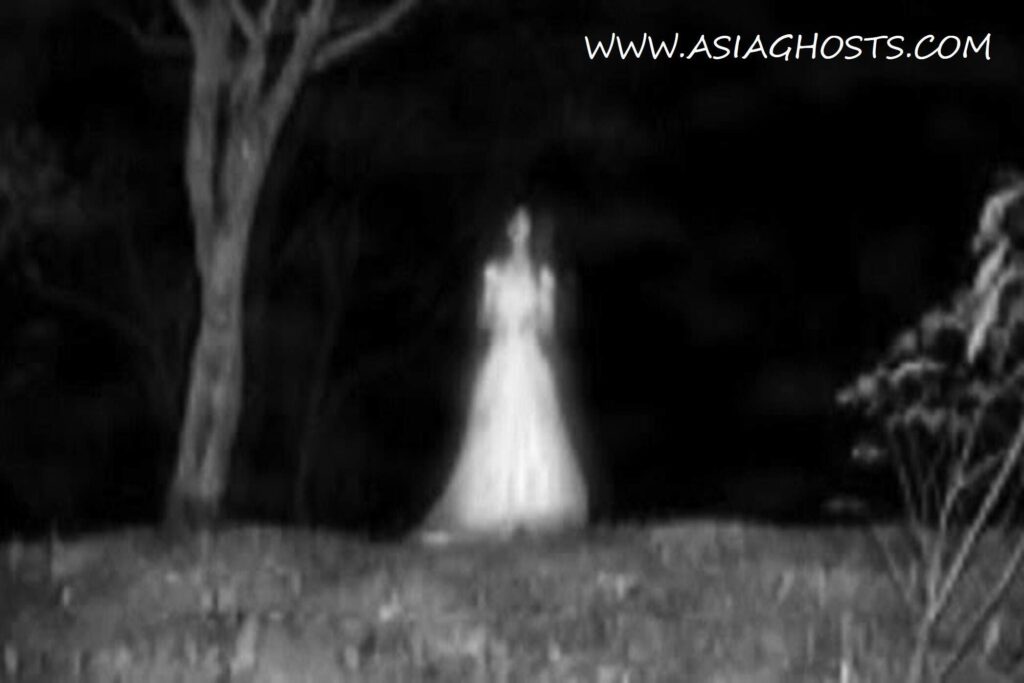 Asia ghost , ghosts , ghost , paranormal , halloween , horror , scary , haunted , ghostbusters , ghost adventures , death , hell , heaven , god , ghost whisperer , religion , ghost festival , pontianak , fear ,mystery , thrilling , ghost story , ghost caught on camera , ghost of tsushima , ghost rider , haunted house , ghost hunters , ghost recon , ghost movie , are ghosts real